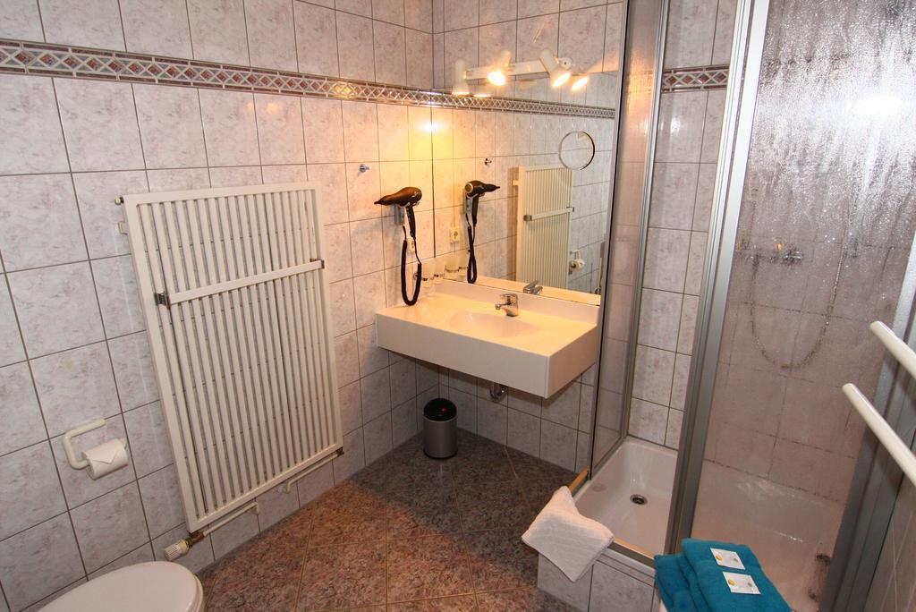 Hotel Wenzels Hof Zwethau エクステリア 写真